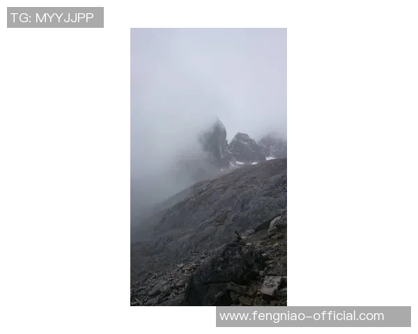 探索云南姚明山的自然魅力与人文风情之旅