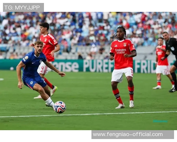 德甲精彩对决本菲卡大胜马竞引发转会热议与球迷狂欢